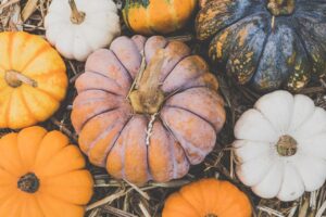 Read more about the article Fall Fun in Central California