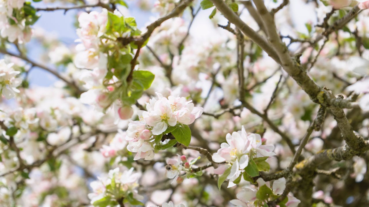 Read more about the article How to Price Your Lake Naci Home to Sell This Spring