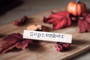 Read more about the article Why Fall Is a Great Time to Sell Your Lake Naci Home