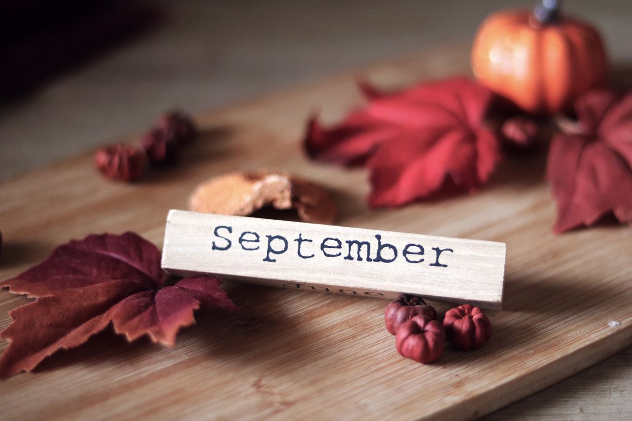 You are currently viewing Why Fall Is a Great Time to Sell Your Lake Naci Home